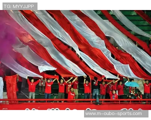 足球之夜河南建业激情四射球迷共庆荣耀时刻与团队精神